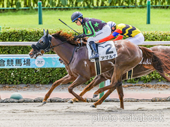 カラープリント(アルミ枠なし)2024年7月21日小倉8R 3歳以上1勝クラス(アマルナ)