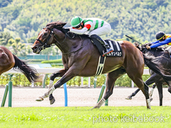 カラープリント(アルミ枠付き)2024年7月21日小倉10R 九州スポーツ杯(ミルテンベルク)