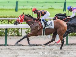 カラープリント(アルミ枠付き)2024年7月21日小倉12R 3歳以上1勝クラス(モズアカボス)