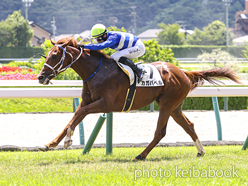 カラープリント(アルミ枠なし)2024年7月21日福島3R 2歳未勝利(カガバベル)