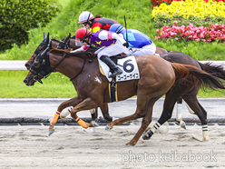 カラープリント(アルミ枠なし)2024年7月21日福島4R 3歳未勝利(ゴーゴーケイコ)