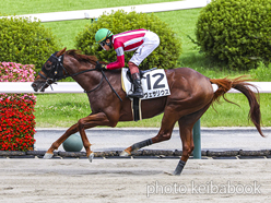 カラープリント(アルミ枠付き)2024年7月21日福島8R 3歳以上1勝クラス(ヴェサリウス)