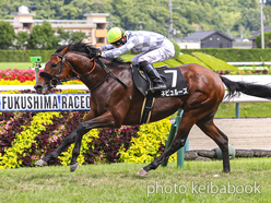 カラーパネル2024年7月21日福島9R 伊達特別(ネビュルーズ)