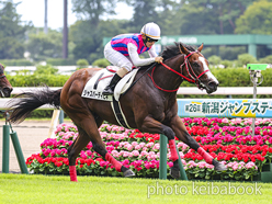 カラーパネル2024年7月27日新潟2R 2歳新馬(ジャスパーディビネ)