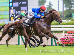 カラープリント(アルミ枠付き)2024年7月27日新潟7R 関越ステークス(クルゼイロドスル)