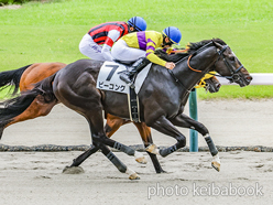 カラープリント(アルミ枠なし)2024年7月28日新潟5R 3歳未勝利(ビーコング)