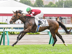 カラーパネル2024年7月28日札幌1R 3歳未勝利(インマイポケット)