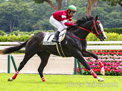 カラープリント(アルミ枠付き)2024年8月3日新潟4R 2歳新馬(シンフォーエバー)