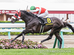 カラープリント(アルミ枠なし)2024年8月3日札幌11R 札幌日経オープン(ショウナンバシット)