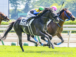 カラープリント(アルミ枠付き)2024年8月4日新潟3R 2歳新馬(ジェゼロ)