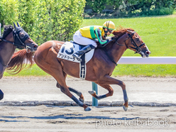 カラープリント(アルミ枠付き)2024年8月4日新潟4R 3歳未勝利(アンドゥーラ)