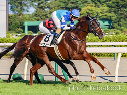 カラープリント(アルミ枠なし)2024年8月4日新潟10R 3歳以上1勝クラス(シヴァース)