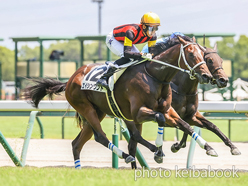 カラーパネル2024年8月10日中京5R 2歳新馬(エイシンワンド)