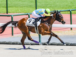 カラープリント(アルミ枠付き)2024年8月10日中京8R 3歳以上1勝クラス(デルマアートマン)