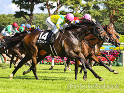 カラープリント(アルミ枠なし)2024年8月10日新潟10R 新発田城特別(サクセスアイ)