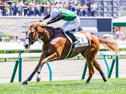 カラーパネル2024年8月10日札幌5R 2歳新馬(クリノメイ)