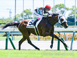 カラープリント(アルミ枠なし)2024年8月11日中京3R 3歳未勝利(レディーヴァリュー)