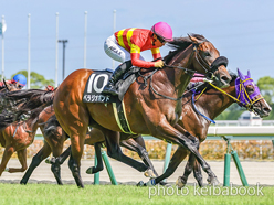 カラープリント(アルミ枠付き)2024年8月11日中京9R 鞍ケ池特別(ベラジオボンド)