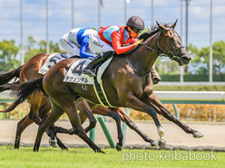 カラープリント(アルミ枠なし)2024年8月17日中京5R 2歳新馬(ラヴェンデル)