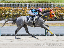 カラープリント(アルミ枠付き)2024年8月17日中京8R 3歳以上1勝クラス(ショーヘーフェイス)