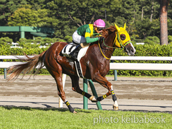 カラープリント(アルミ枠付き)2024年8月17日新潟12R 3歳以上1勝クラス(ニューステソーロ)