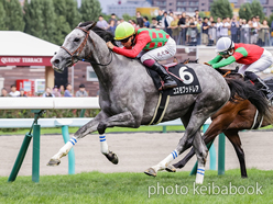 カラープリント(アルミ枠なし)2024年8月17日札幌10R 富良野特別(コスモブッドレア)