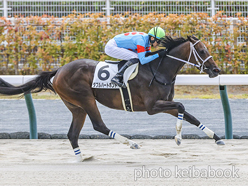 カラープリント(アルミ枠なし)2024年8月18日中京2R 3歳未勝利(ダブルハートボンド)