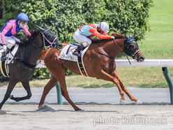 カラープリント(アルミ枠なし)2024年8月18日中京7R 3歳以上1勝クラス(バスタードサフラン)