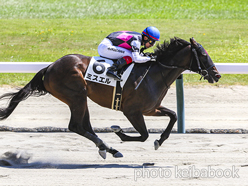 カラープリント(アルミ枠なし)2024年8月18日新潟6R 3歳未勝利(ミスエル)