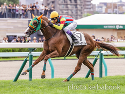 カラープリント(アルミ枠なし)2024年8月18日札幌1R 2歳未勝利(オーケースマイル)