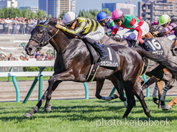 カラープリント(アルミ枠なし)2024年8月18日札幌10R 知床特別(シカゴスティング)