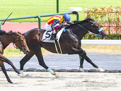 カラーパネル2024年8月24日中京8R 3歳以上1勝クラス(スリリングチェイス)