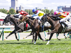 カラープリント(アルミ枠なし)2024年8月24日札幌7R 3歳以上1勝クラス(ウインアクトゥール)