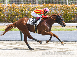 カラーパネル2024年8月25日中京7R 3歳以上1勝クラス(カズタンジャー)