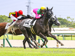 カラーパネル2024年8月25日中京8R 3歳以上1勝クラス(ハワイアンティアレ)