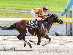 カラープリント(アルミ枠なし)2024年8月25日中京9R 大府特別(カズペトシーン)