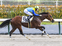 カラープリント(アルミ枠なし)2024年8月25日中京12R 3歳以上1勝クラス(スターターン)