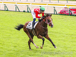 カラーパネル2024年8月25日新潟3R 2歳未勝利(チョングク)