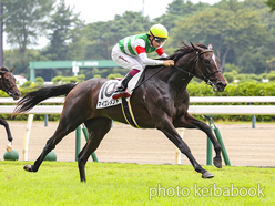 カラーパネル2024年8月25日新潟6R 2歳新馬(マイエレメント)