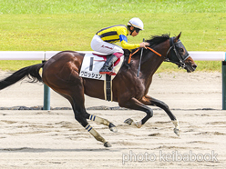 カラープリント(アルミ枠なし)2024年8月25日新潟8R 3歳以上1勝クラス(グロッシェン)