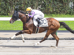 カラープリント(アルミ枠付き)2024年8月25日札幌7R 3歳以上1勝クラス(ペプチドシュチク)