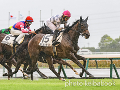 カラープリント(アルミ枠付き)2024年8月31日中京7R 3歳未勝利(マルモア)