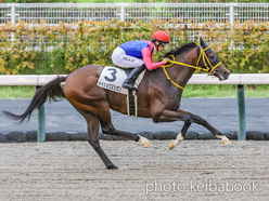 カラープリント(アルミ枠なし)2024年8月31日中京12R 3歳以上1勝クラス(メイショウミシガン)