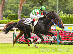 カラーパネル2024年8月31日新潟5R 2歳新馬(ヴィンセンシオ)