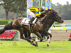 カラープリント(アルミ枠付き)2024年8月31日新潟7R 3歳未勝利(フォティーゾ)