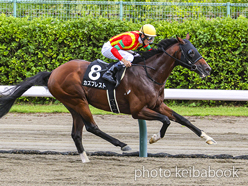 カラープリント(アルミ枠付き)2024年8月31日新潟11R 古町ステークス(カズプレスト)