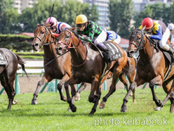 カラープリント(アルミ枠なし)2024年8月31日札幌10R アジア競馬連盟トロフィー(ドナベティ)