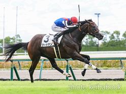 カラーパネル2024年9月1日中京5R 2歳新馬(フードマン)