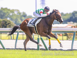 カラープリント(アルミ枠なし)2024年9月7日中京3R 2歳未勝利(モルティフレーバー)