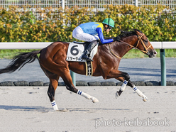 カラープリント(アルミ枠なし)2024年9月7日中京12R 3歳以上2勝クラス(スターターン)